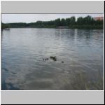 2010-07-04 - 13-59-10.JPG